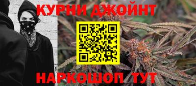 Альфа ПВП Будённовск