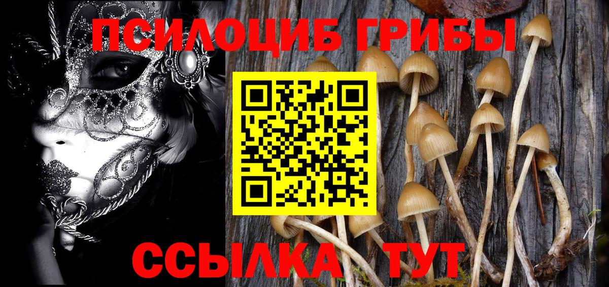 Галлюциногенные грибы Cubensis Сорочинск