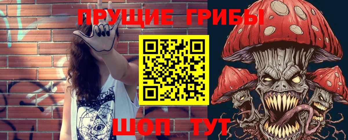 Галлюциногенные грибы Psilocybine cubensis  Вход с VPN  Сорочинск  Псилоцибиновые грибы Cubensis 